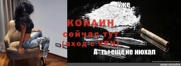 крисы Богородицк