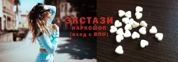 крисы Богородицк