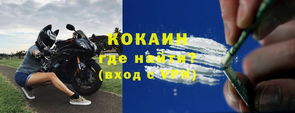 стаф Богданович