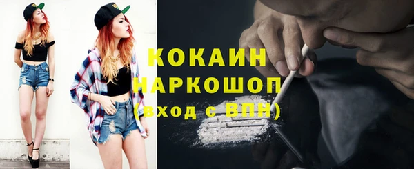 крисы Богородицк