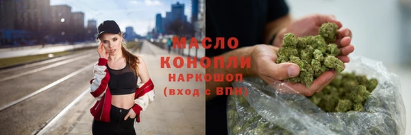 крисы Богородицк
