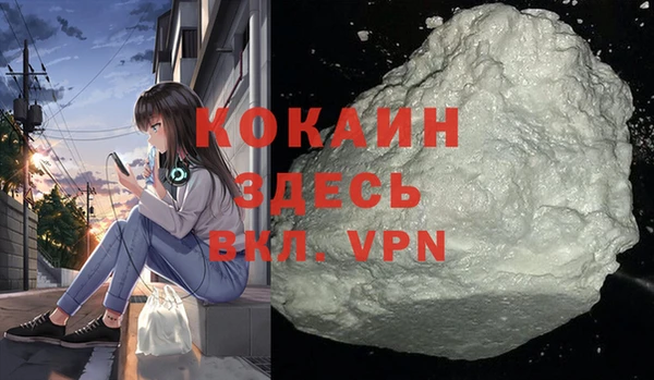 стаф Богданович