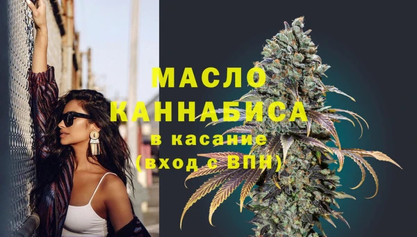 стаф Богданович
