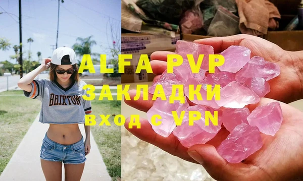 стаф Богданович