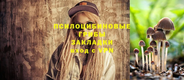 спайс Богородск