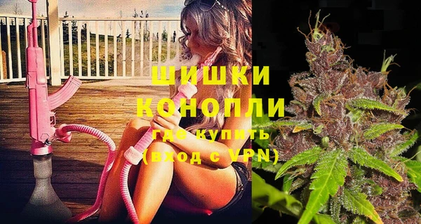 стаф Богданович