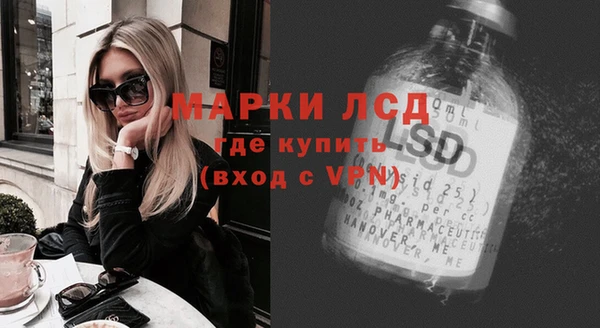 стаф Богданович