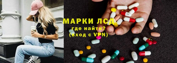 стаф Богданович