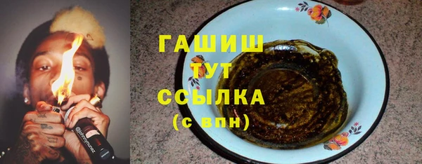 стаф Богданович