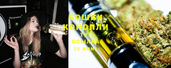 стаф Богданович