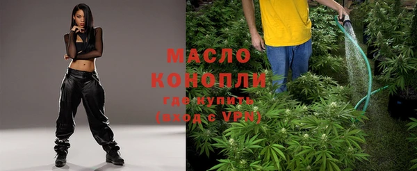 крисы Богородицк