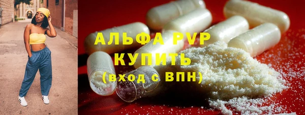 стаф Богданович