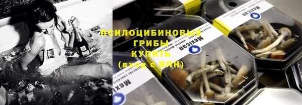 стаф Богданович