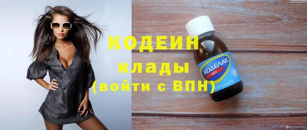 крисы Богородицк