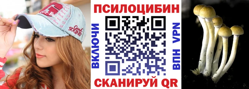 Псилоцибиновые грибы Cubensis  Купить  Сердобск 